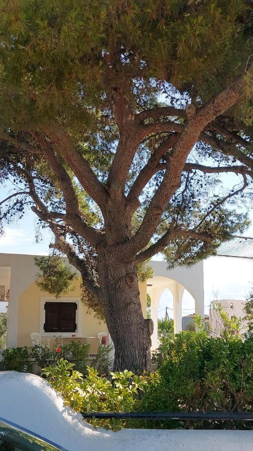 Airport Friendly House 2 Villa Artemida  Bagian luar foto